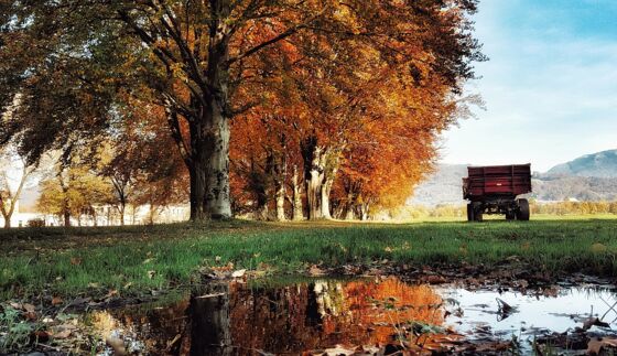 Fotowettbewerb im Werkschulheim Felbertal zum Thema "Herbst"